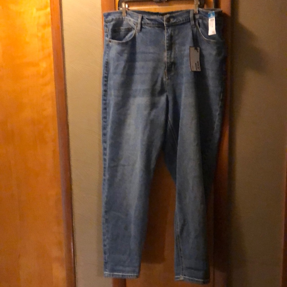 Rue 21 plus mom jean